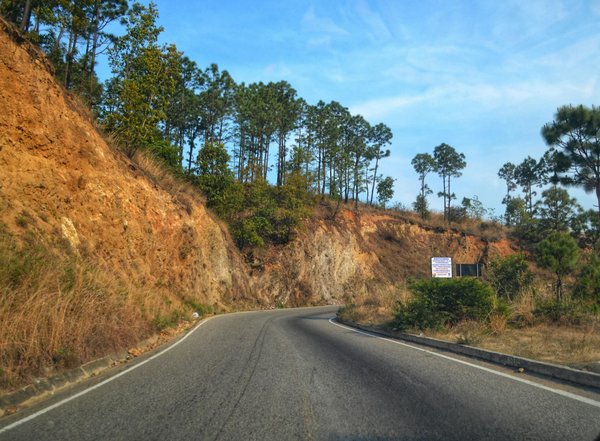 Quel avenir pour les véhicules à hydrogène dans le marché automobile?